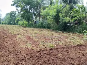 Land for Sale Omanthai Vavuniya