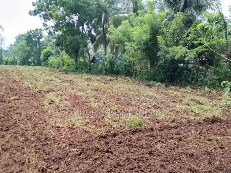 Land for Sale Omanthai Vavuniya