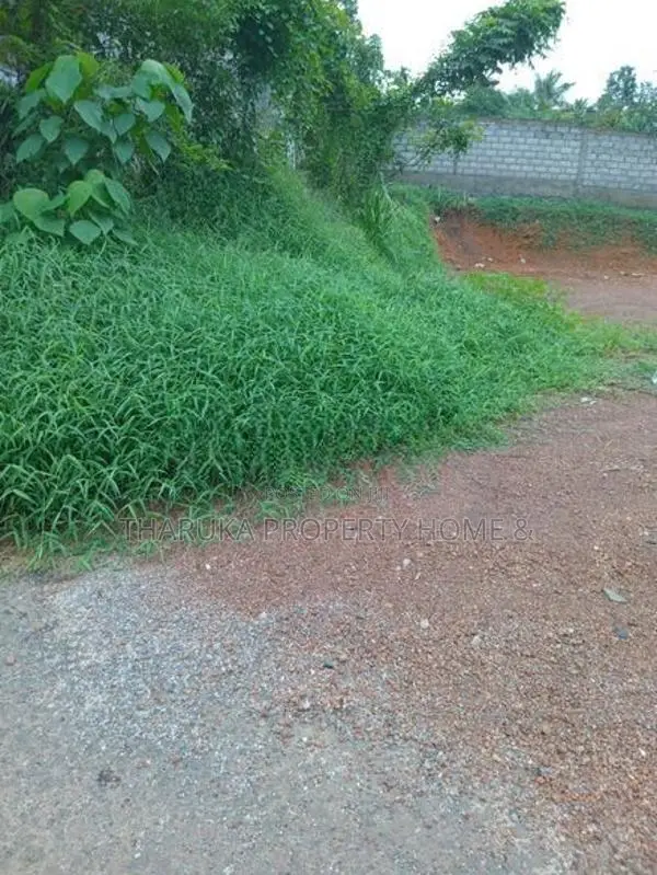 Land For Sale Piliyandala