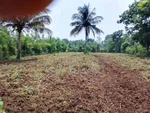 Land for Sale Omanthai Vavuniya