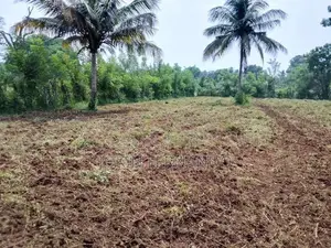 Land for Sale Omanthai Vavuniya