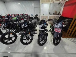 TVS Sport 110 2026