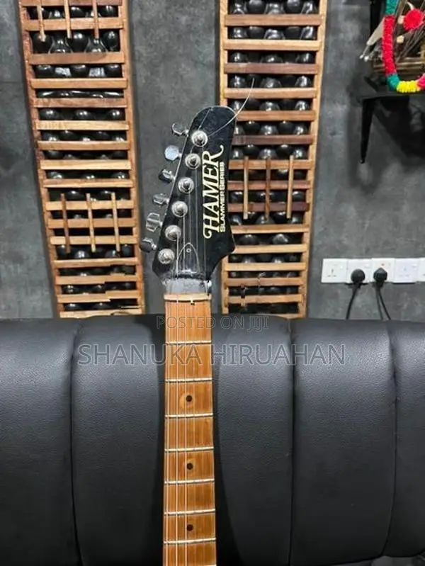 Electric Guitar