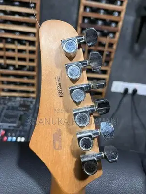 Electric Guitar