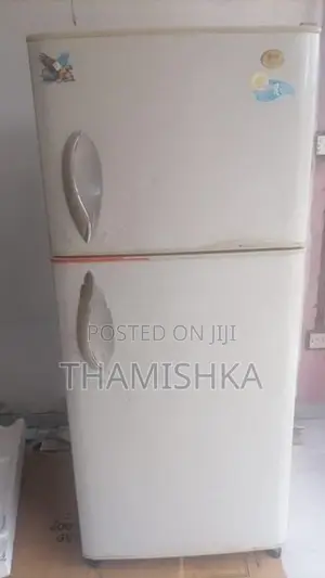 LG Double Door Fridge