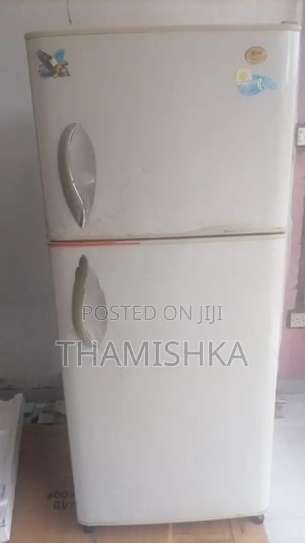LG Double Door Fridge