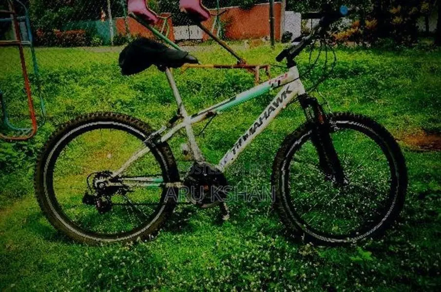 Tomahawk F29 Mountain Bicycle