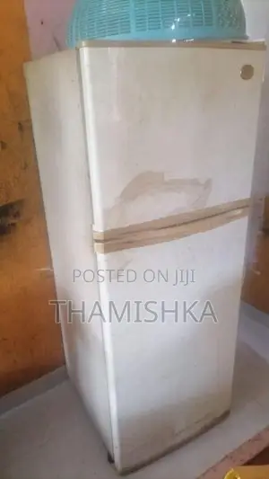 LG Double Door Fridge