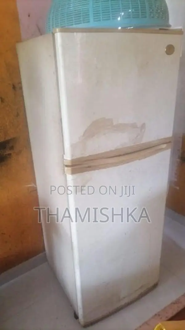 LG Double Door Fridge