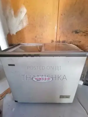 Display Freezer