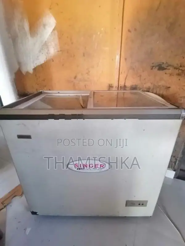 Display Freezer