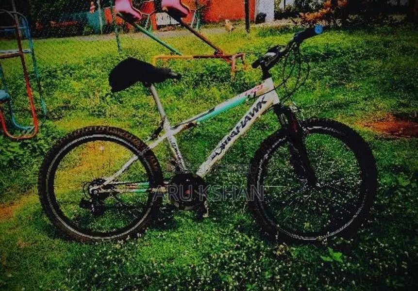 Tomahawk F29 Mountain Bicycle