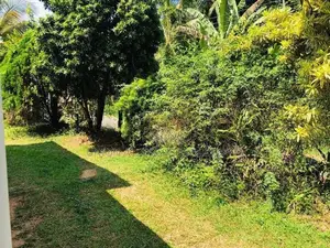 කුරුණැගල නුවර පාර ,උයන්ද අගනා නිවසක් විකිණීමට!