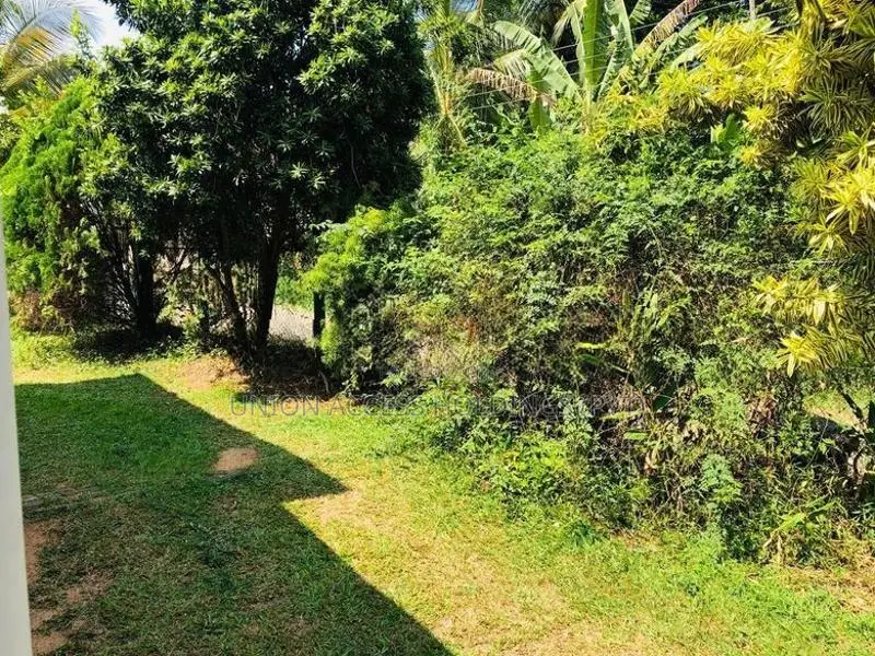 කුරුණැගල නුවර පාර ,උයන්ද අගනා නිවසක් විකිණීමට!