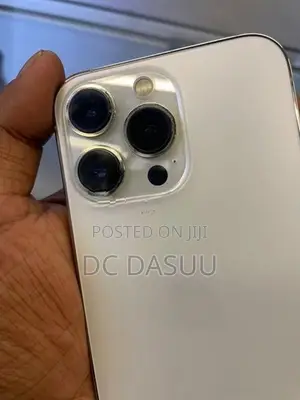 Apple iPhone 13 Pro (Used)