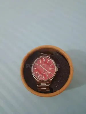Timex Watch