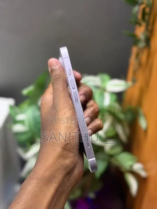 Apple iPhone 14 (Used)