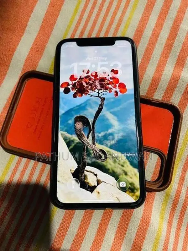 Apple iPhone 11 (Used)