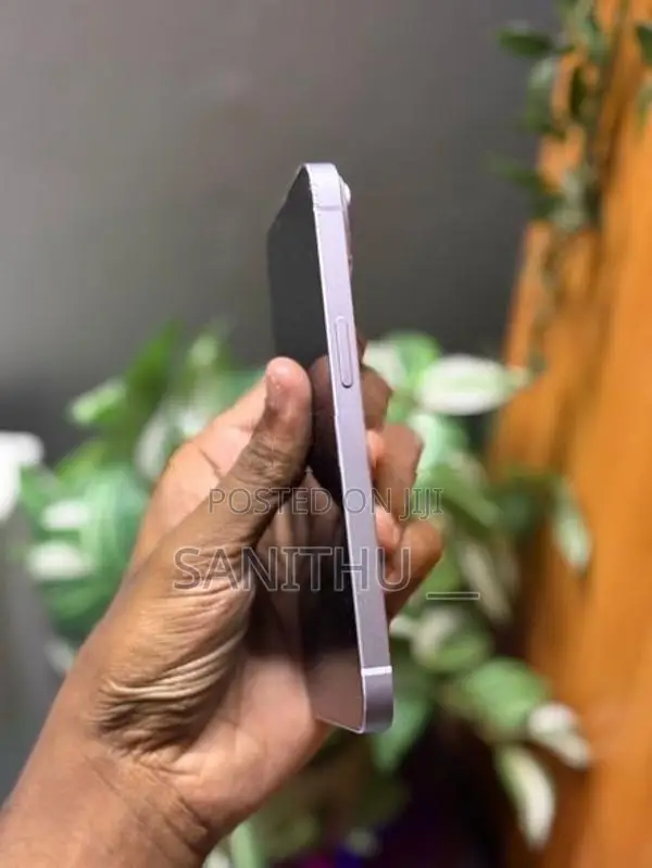 Apple iPhone 14 (Used)