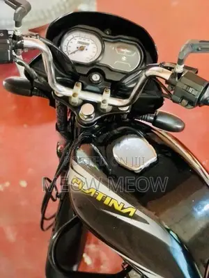 Bajaj Platina 2019