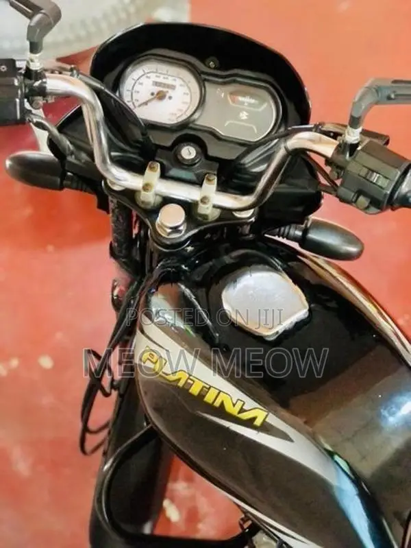 Bajaj Platina 2019
