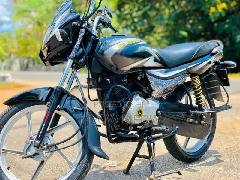 Bajaj Platina 2019