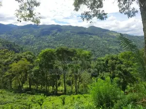 Land for Sale in Nillamba