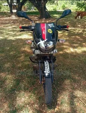 Bajaj Pulsar 150 2019