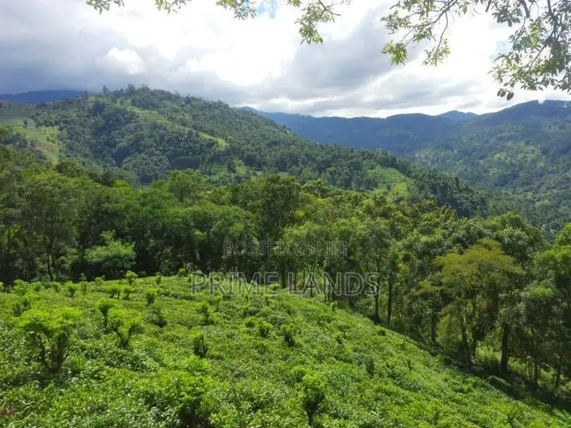 Land for Sale in Nillamba