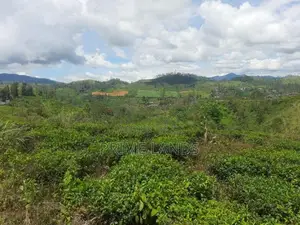 Land for sale in Hatton