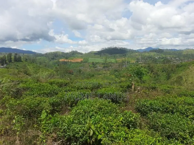 Land for sale in Hatton
