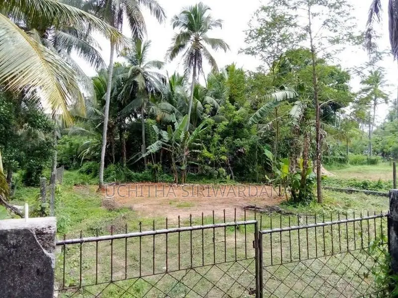 ලෝලුවාගොඩ දම්රෝ කර්මාන්ත ශාලාව ආසන්නයෙන් ඉඩමක්
