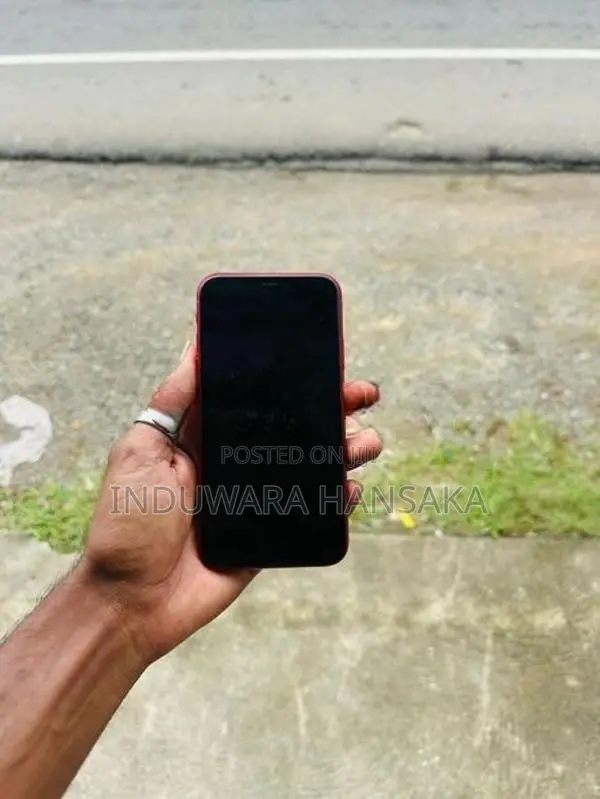 Apple iPhone XR (Used)