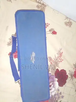 මෙලෝඩිකා