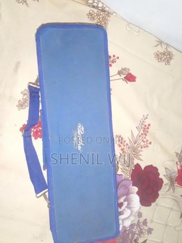 මෙලෝඩිකා