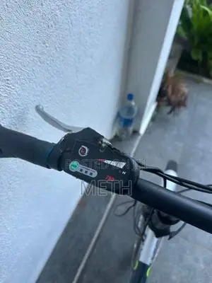 Foldable Electric Bicycle E Bike