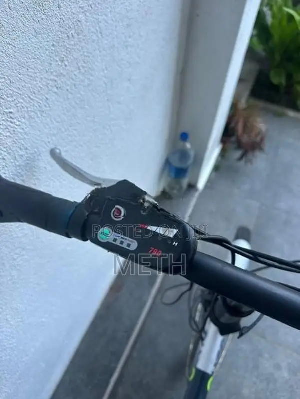 Foldable Electric Bicycle E Bike