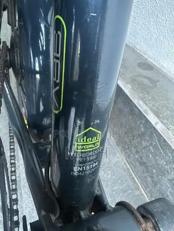 Foldable Electric Bicycle E Bike