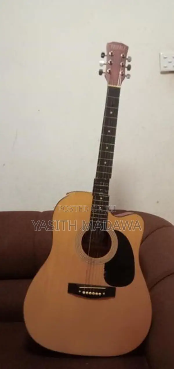 Guitar