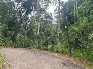 Kalawana Land For Sale