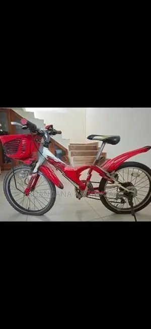 Used Japanese Bridgestone 18" Bike with Gears