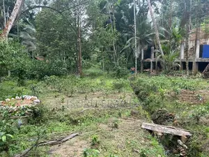 Kalawana Land For Sale