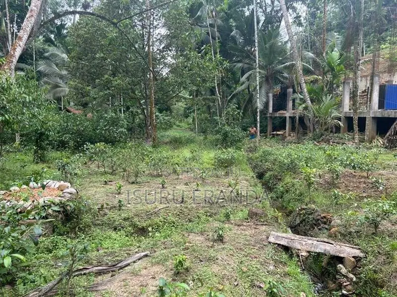 Kalawana Land For Sale