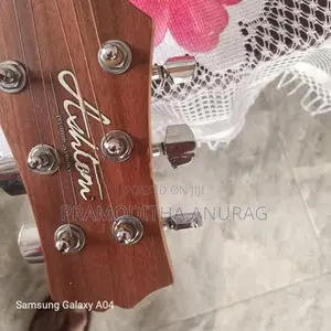 Aston Music Instrument Guitar