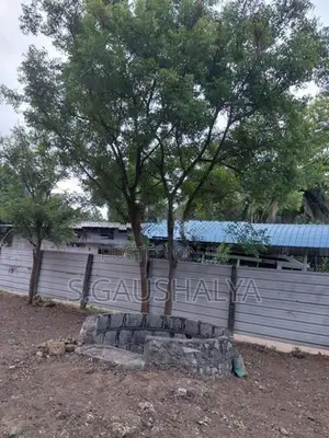 20 Perch Land for Sale in Manipay