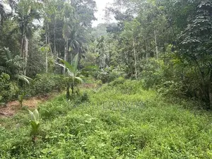 Kalawana Land For Sale
