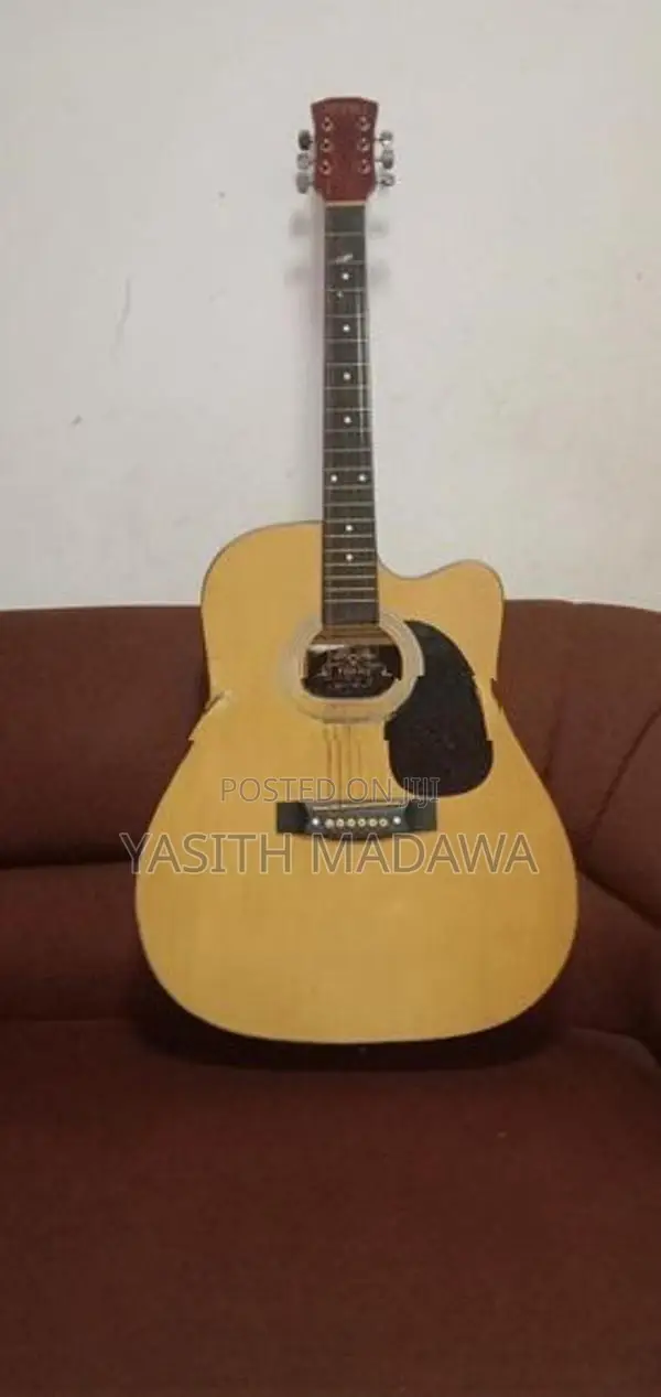Guitar