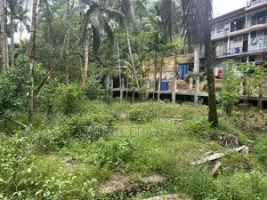 Kalawana Land For Sale
