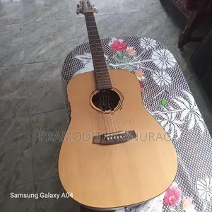 Aston Music Instrument Guitar