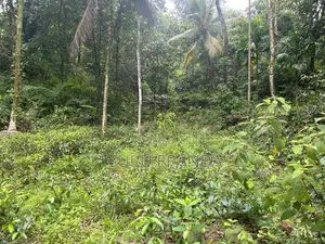 Kalawana Land For Sale